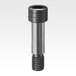 Shoulder screws Form B