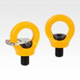 Ring bolts rotatable high-strength grade 10