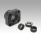 Fixed bearing units flange version