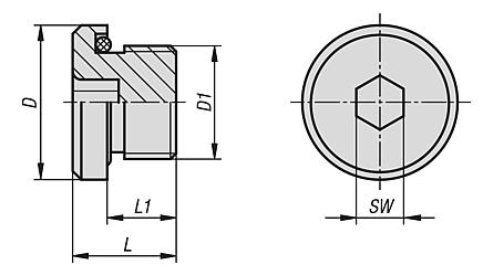 Screw plugs with hexagon socket